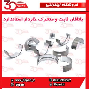 یاتاقان ثابت و متحرک خاردار استاندارد آریو S300