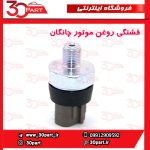 فشنگی روغن یورو 4 چانگان CS35 EADO